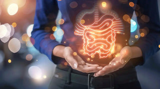 Gut Health doctor