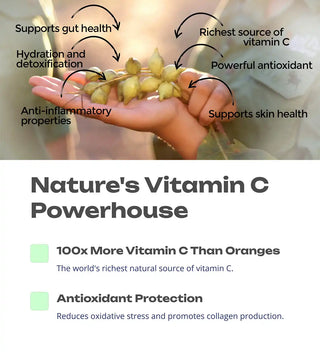 Kakadu Plum Natures-Vitamin-C-Powerhouse
