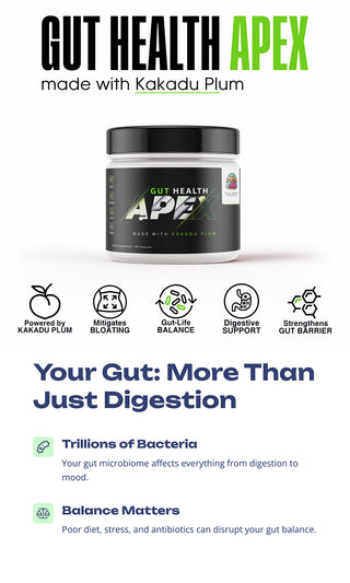 Gut Health Supplements