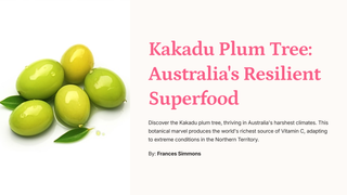 Kakadu Plum Facts