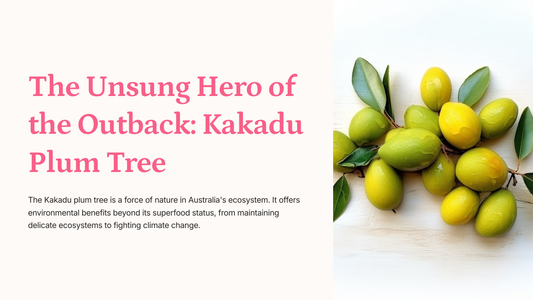 The Unsung Hero of the Outback Kakadu Plum