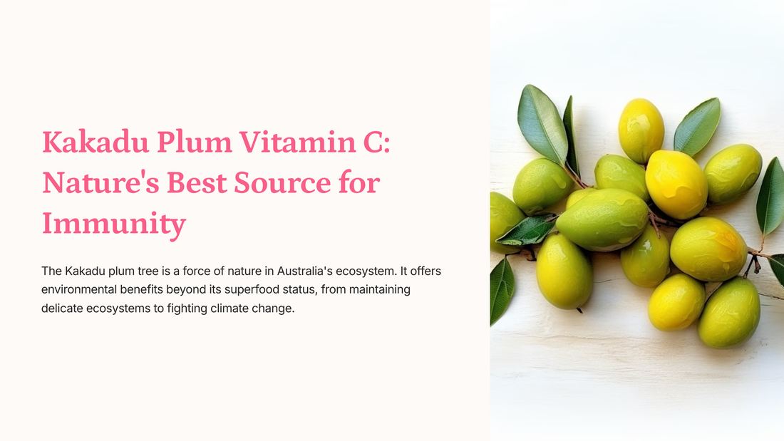 Kakadu Plum Vitamin C